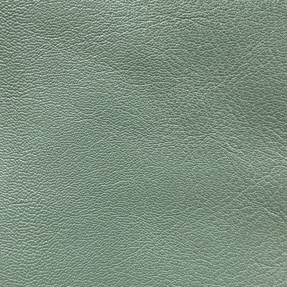 [Limited Edition] Princess | Goatskin Tote Bag